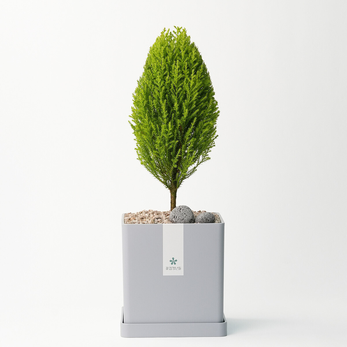 율마 모던라인 1호