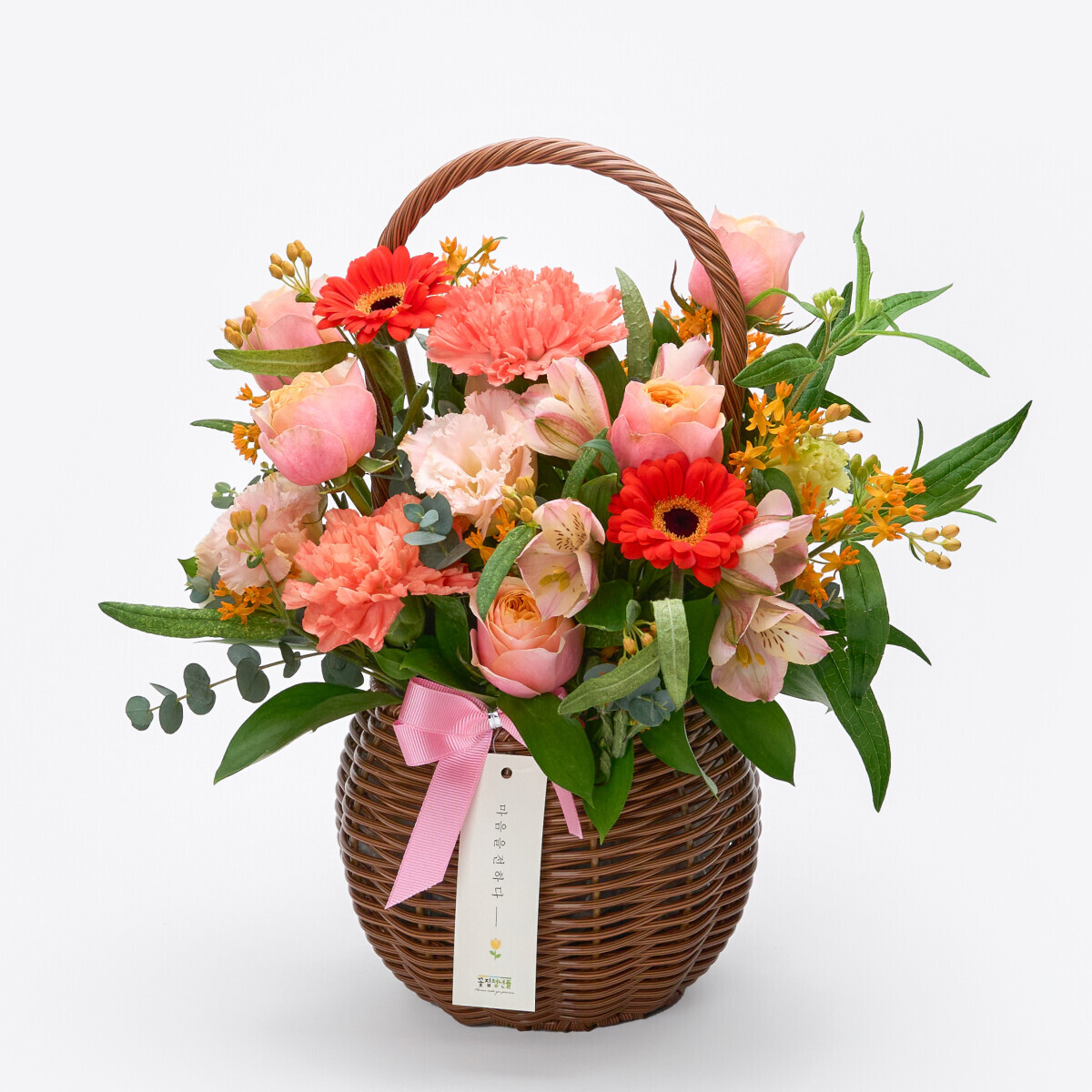꽃집청년들,썬 라이즈