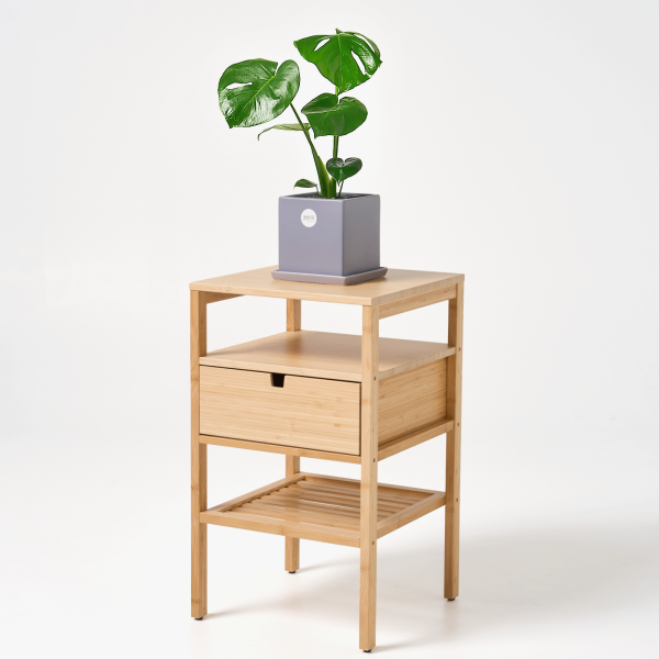 꽃집청년들,몬스테라 모던라인 미니(서울한정)