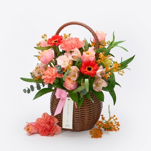 꽃집청년들,썬 라이즈