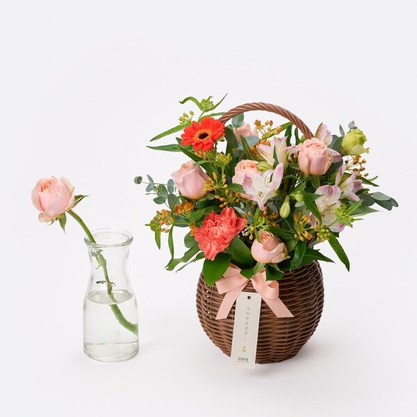 꽃집청년들,썬 라이즈