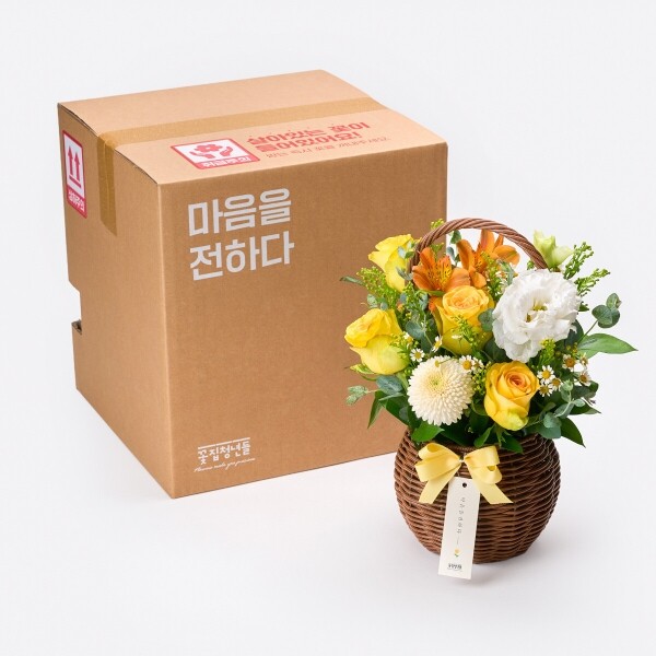 꽃집청년들,한낮의 피크닉