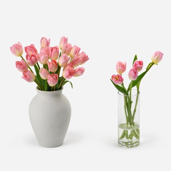 꽃집청년들,핑크 튤립 5대