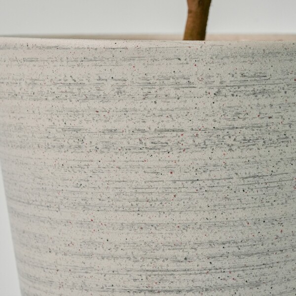 꽃집청년들,동백나무(서울한정)