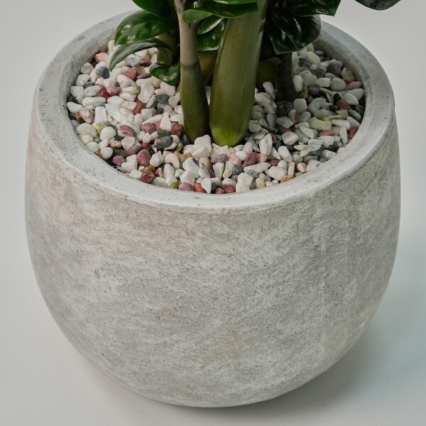 꽃집청년들,보석금전수(서울한정)