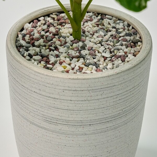 꽃집청년들,주필란데스(서울한정)