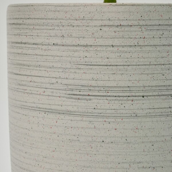 꽃집청년들,주필란데스(서울한정)