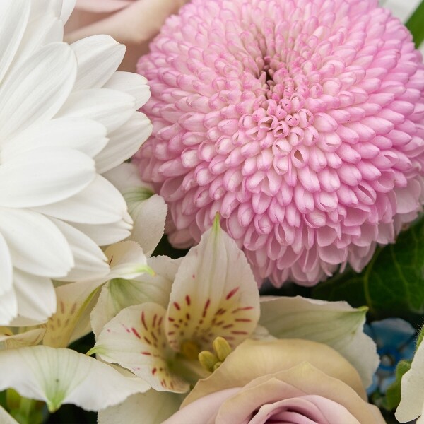 꽃집청년들,퍼플 블룸