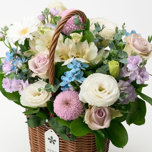 꽃집청년들,퍼플 브리즈