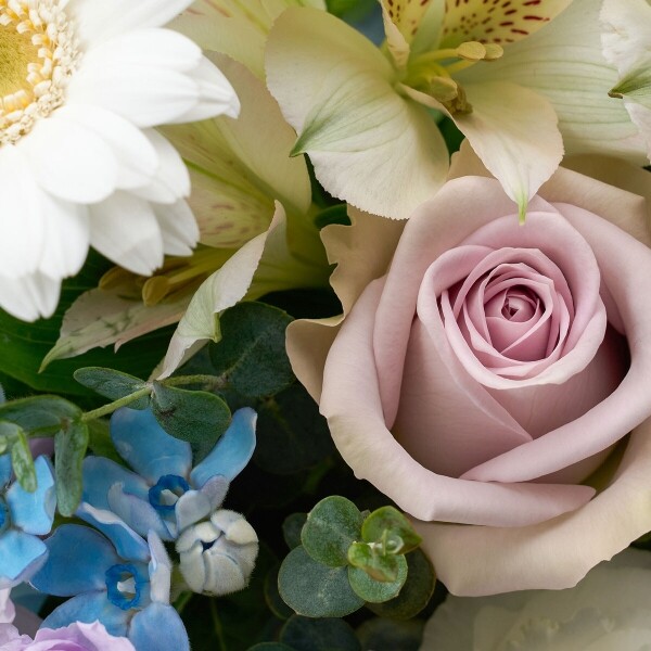 꽃집청년들,퍼플 브리즈