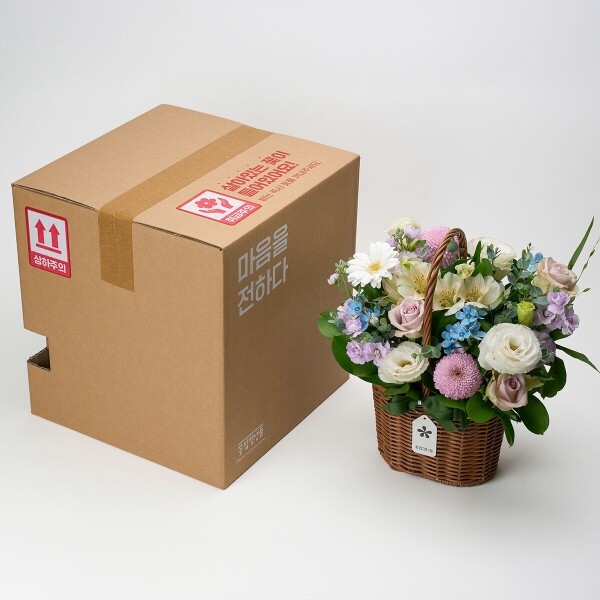 꽃집청년들,퍼플 브리즈