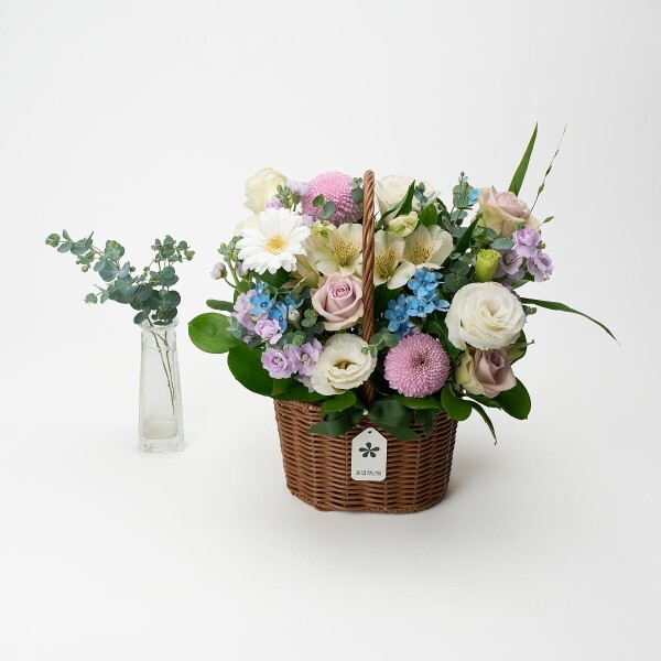 꽃집청년들,퍼플 브리즈