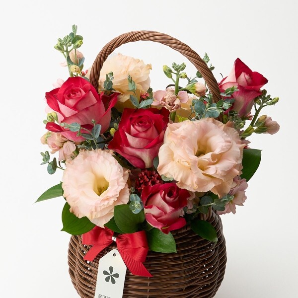 꽃집청년들,윈드베리