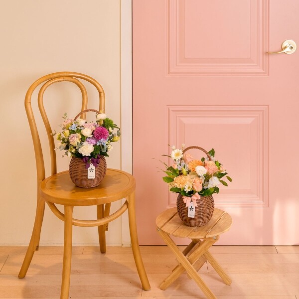 꽃집청년들,계절 꽃바구니+정관장 에브리타임