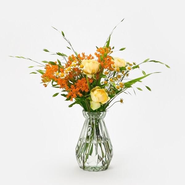 꽃집청년들,보리사초 10대