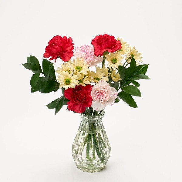 꽃집청년들,MIX 카네이션