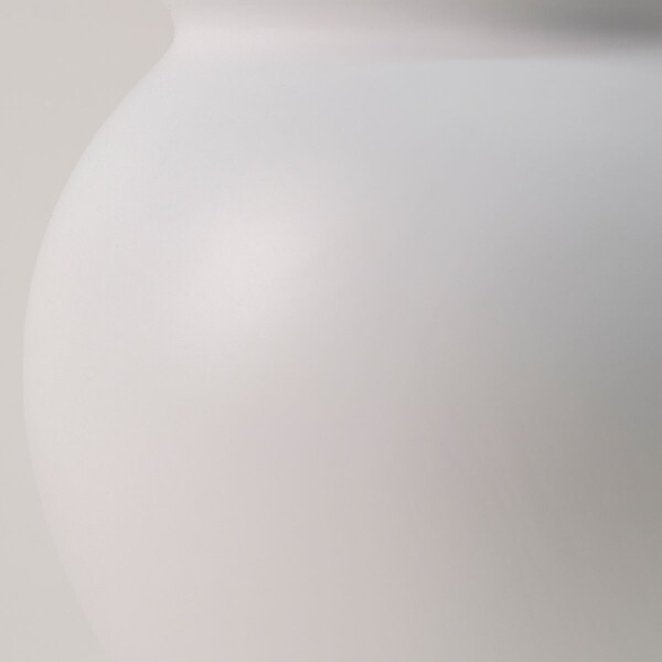 꽃집청년들,분홍호접란 달항아리(서울한정)