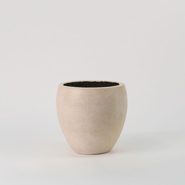 꽃집청년들,썬셋호접란 어반아크 벨리(서울한정)