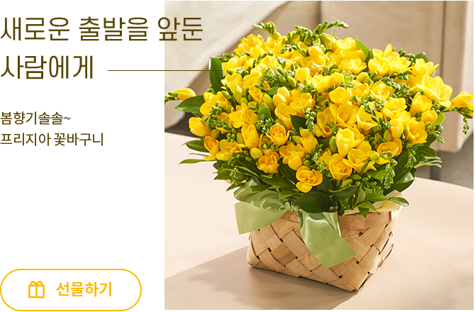 프리지아 꽃바구니