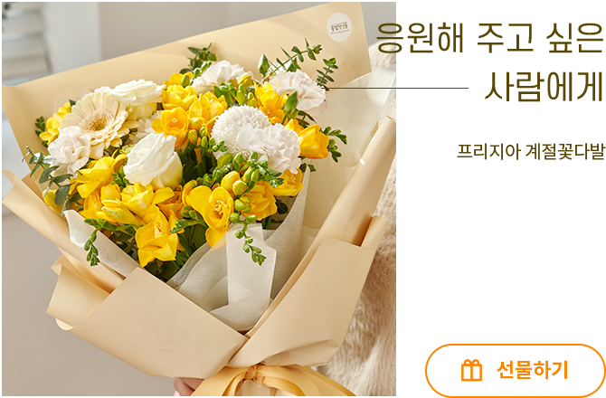 프리지아 계절 꽃다발