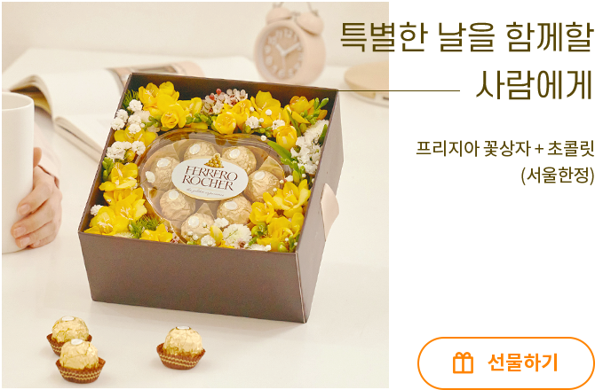 프리지아 계절 꽃상자 + 초콜릿