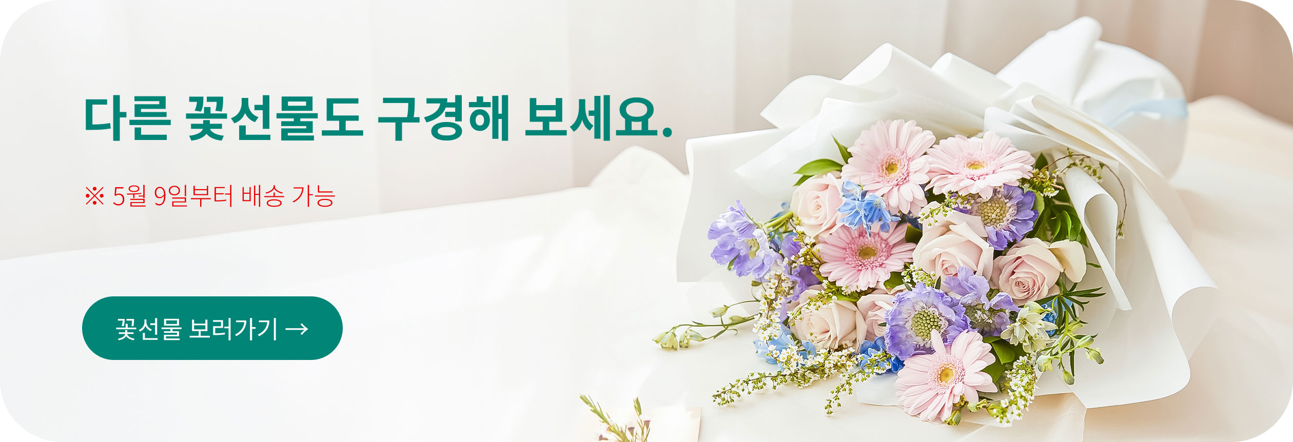 다른 꽃선물도 구경해 보세요.