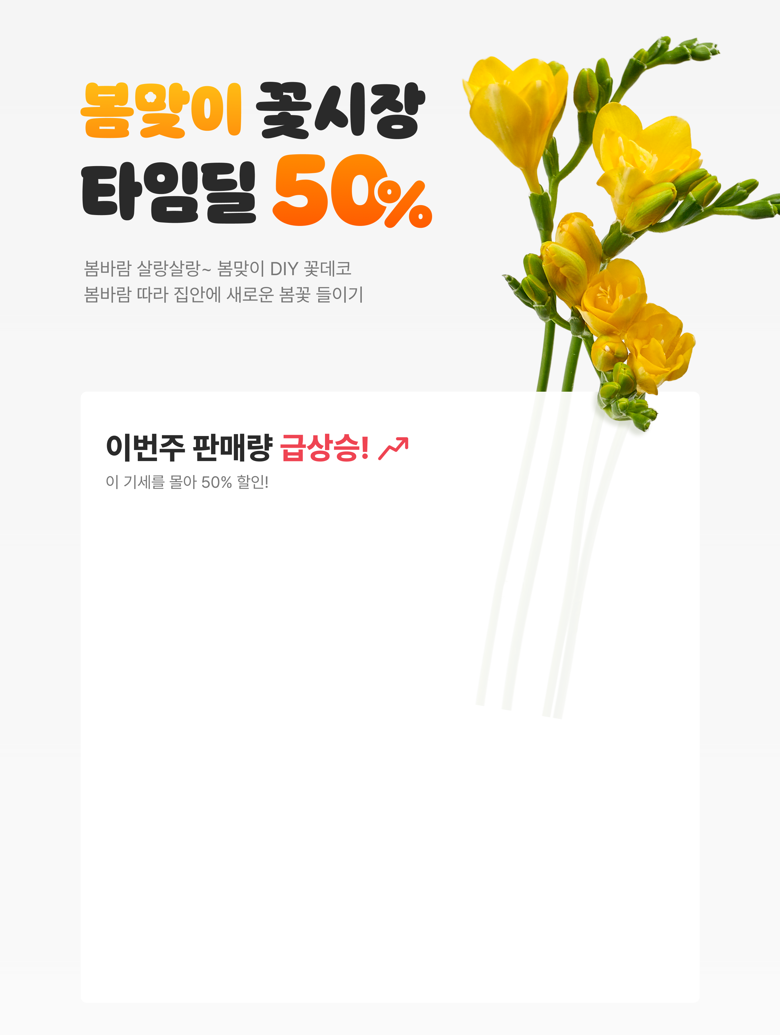 봄맞이 꽃시장 타임딜 50%