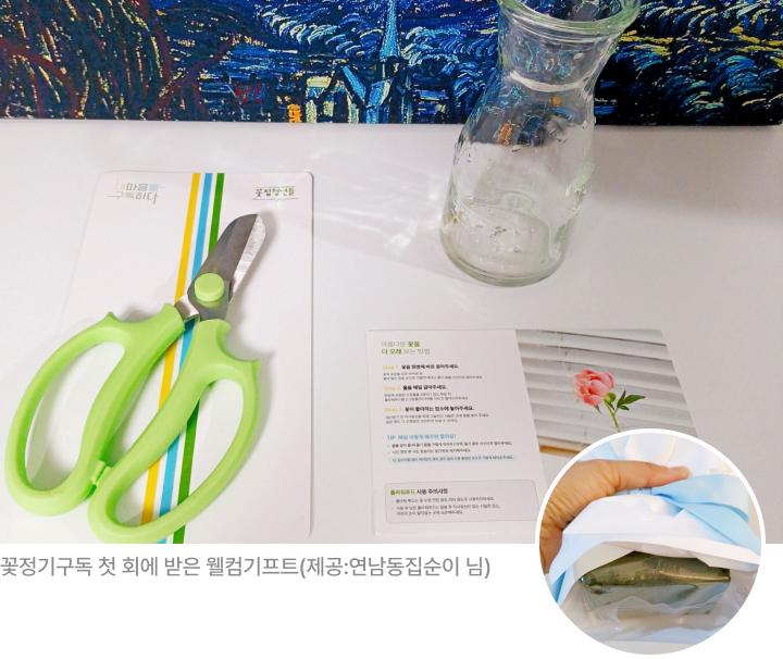 꽃집청년들 첫 구독 웰컴기프트