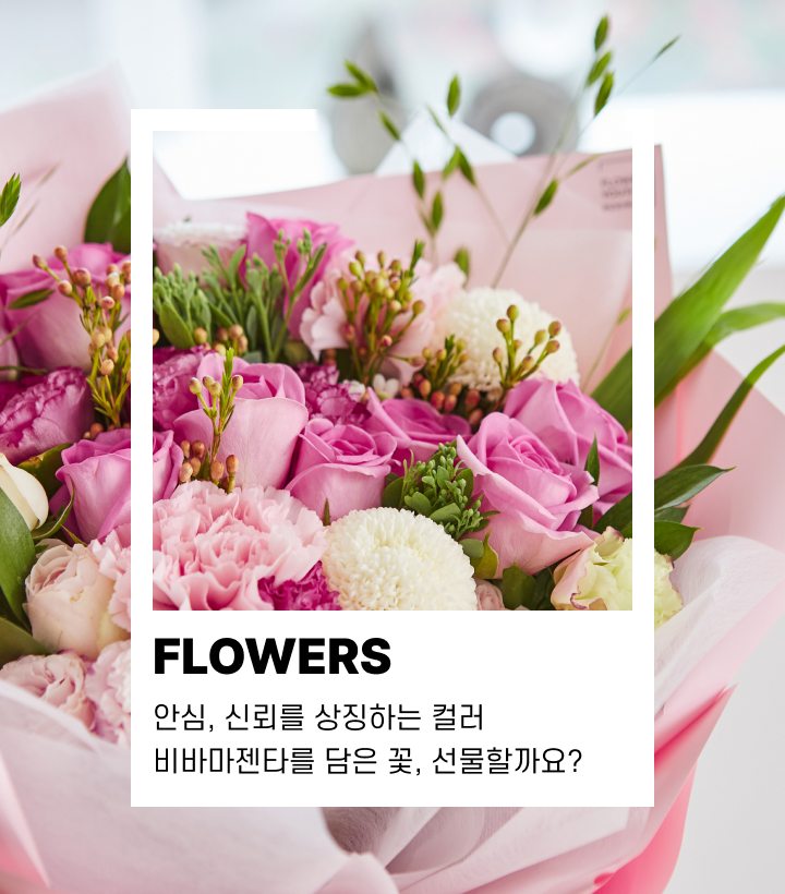 비바마젠타를 담은 꽃