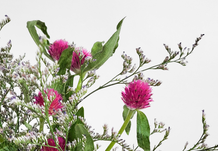 비바마젠타 색상을 담은 멋진 꽃