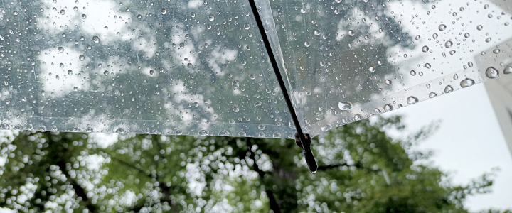 비 맞는 우산