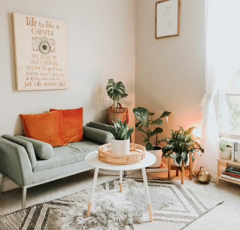 식물은 수분을 어떻게 만들어 낼까요