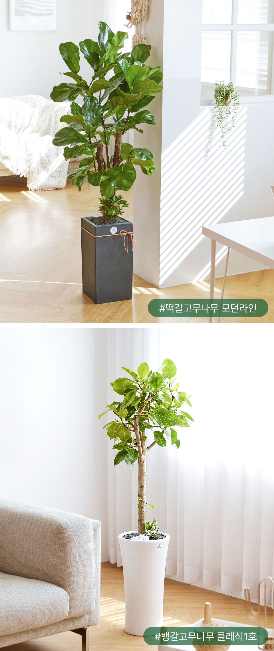 화분을 이동할 때도 잠시 머물 수 있는 중간 지점을 만들어 주세요.