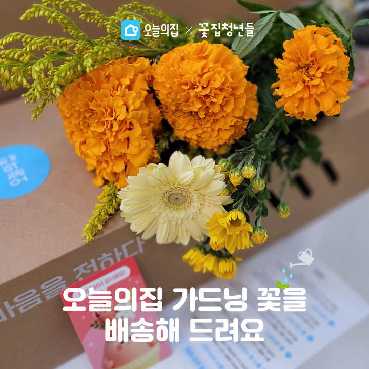 꽃집청년들 오늘의 집 B2B 전문 서비스