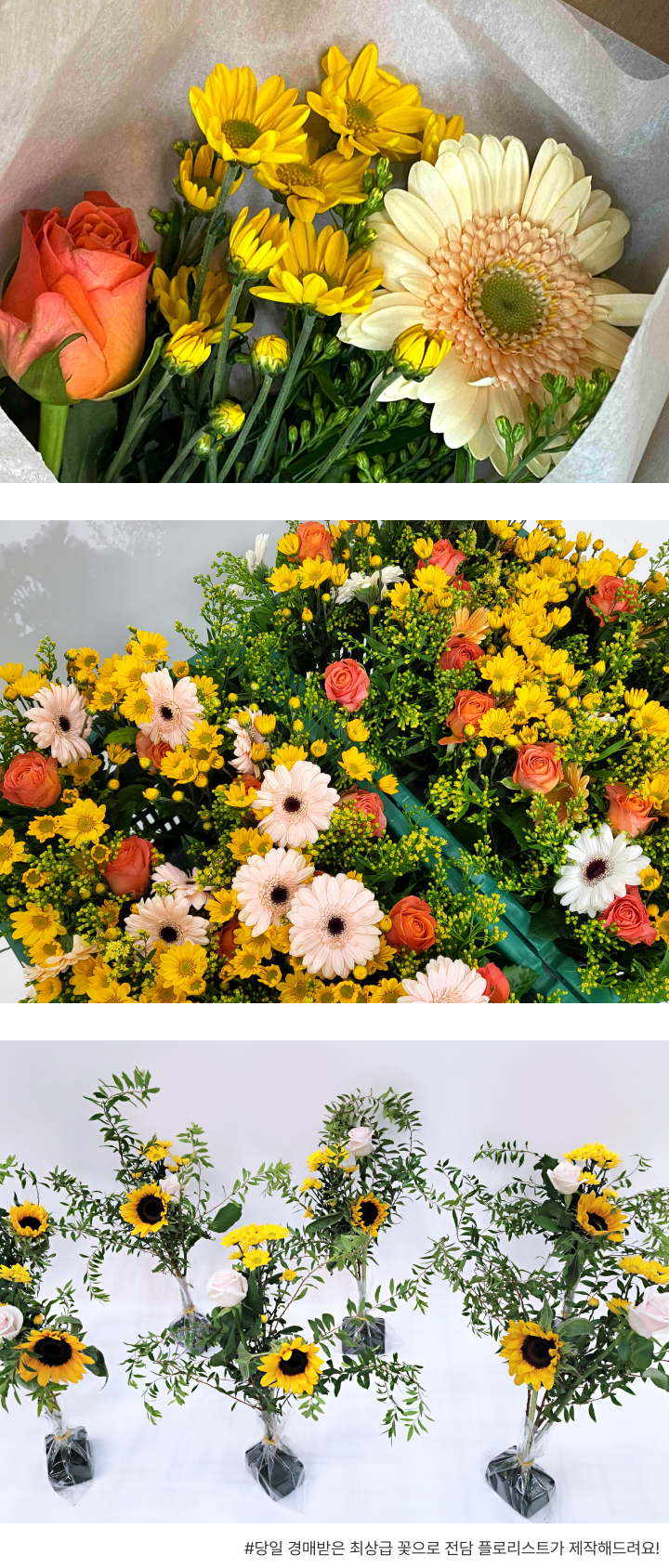 꽃집청년들 오늘의 집 오늘의 가든