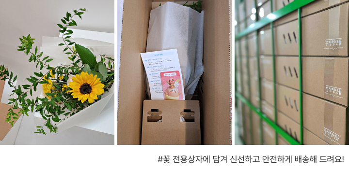 꽃집청년들 오늘의 집 오늘의 가든