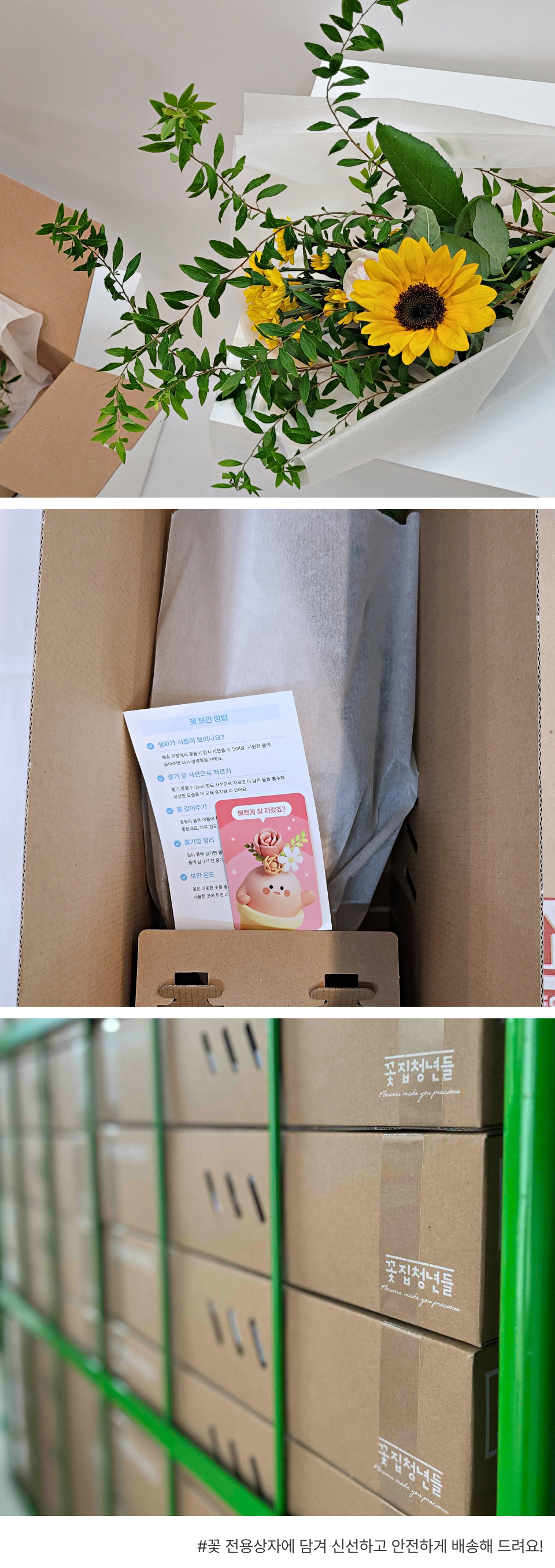 꽃집청년들 오늘의 집 오늘의 가든