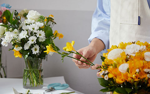 프리지아의 컨디셔닝