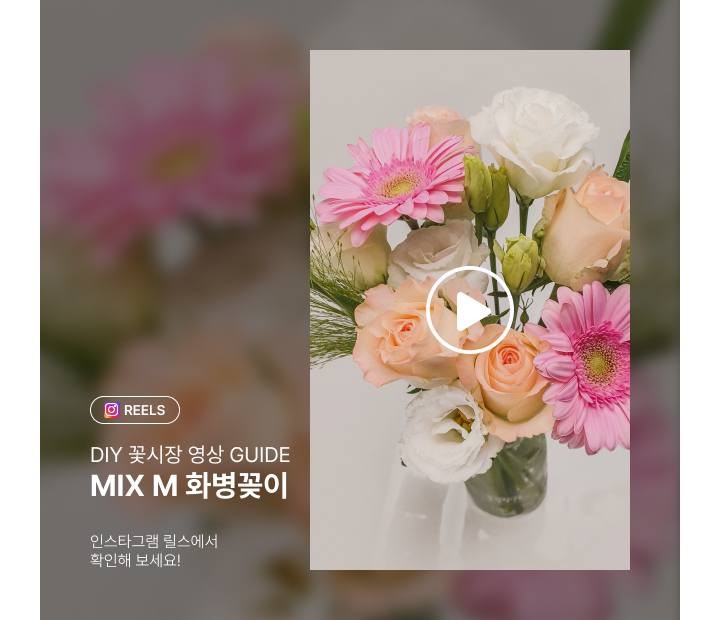 DIY꽃시장 가이드 영상