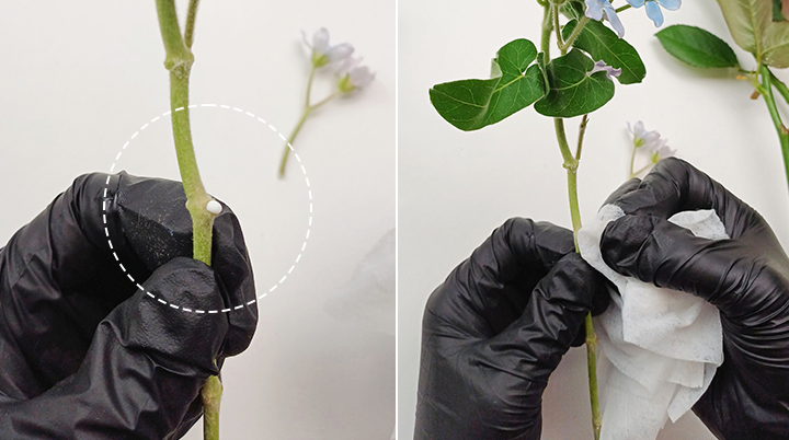 블루 옥시페탈륨 컨디셔닝