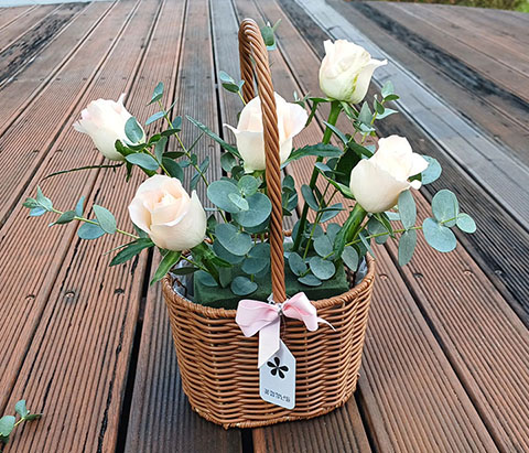 플로랄폼에 하젤 장미를 꽂아주세요