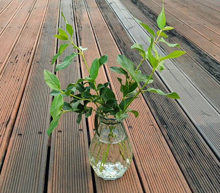  꽃을 화병에 꽂기