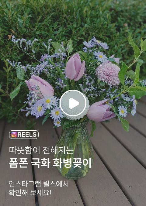 꽃집청년들 폼폰 소국 튤립 화병꽂이