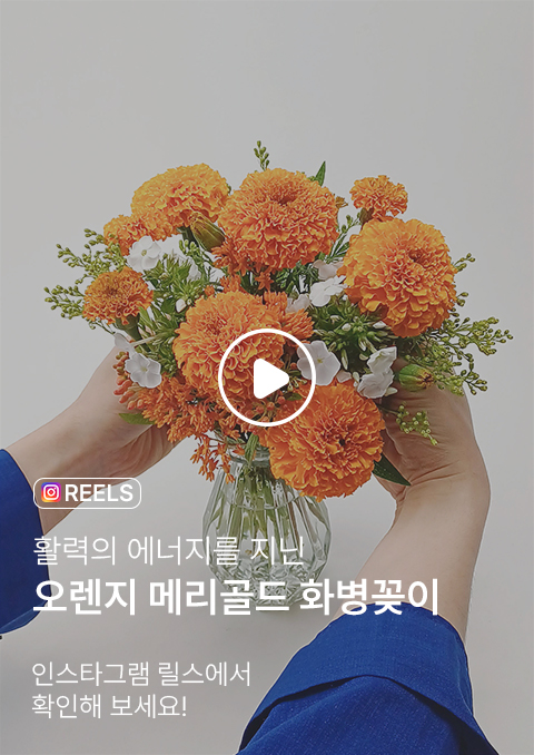 여름부터 초가을까지 즐기기 좋은 메리골드 화병꽂이