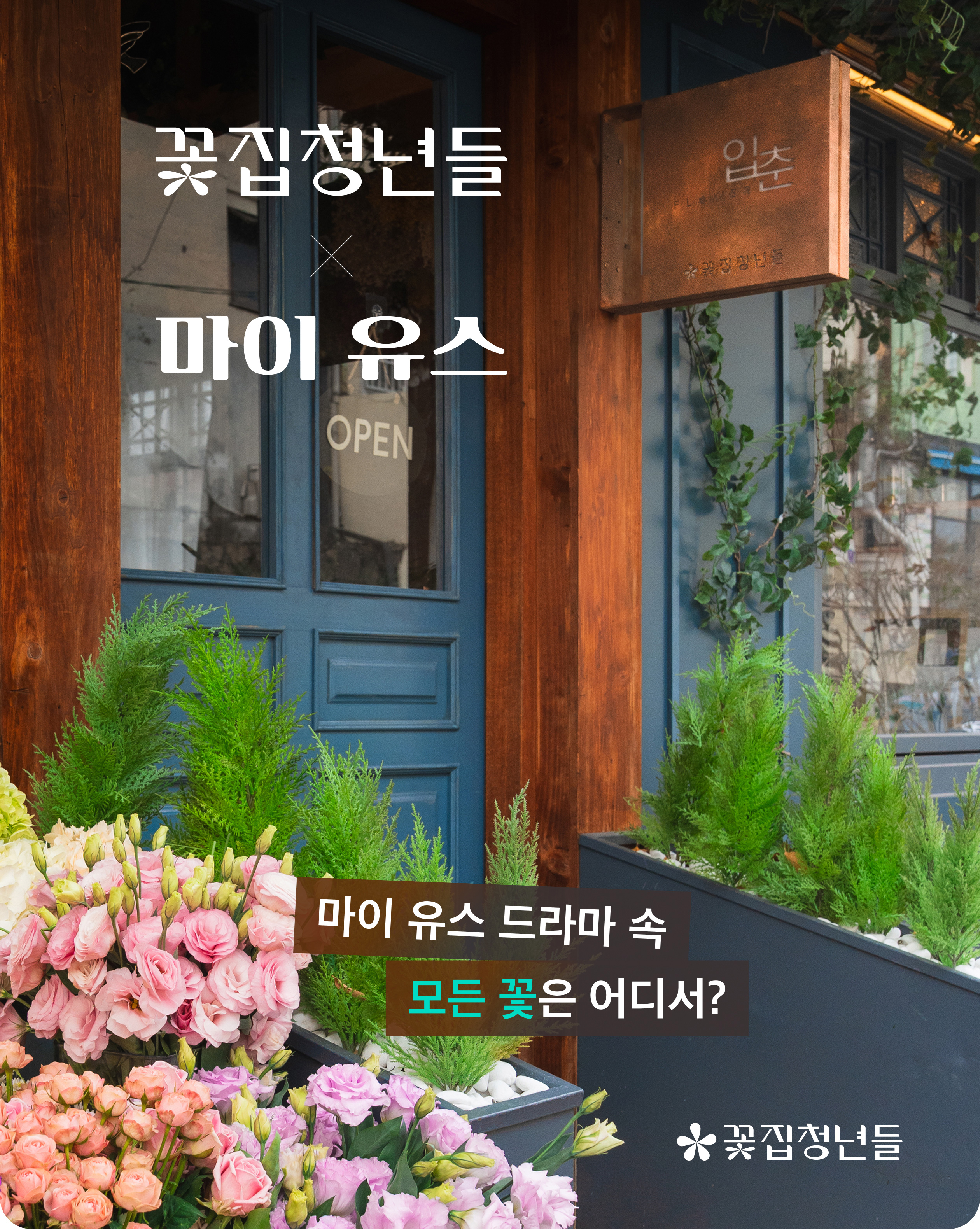 마이 유스 my youth