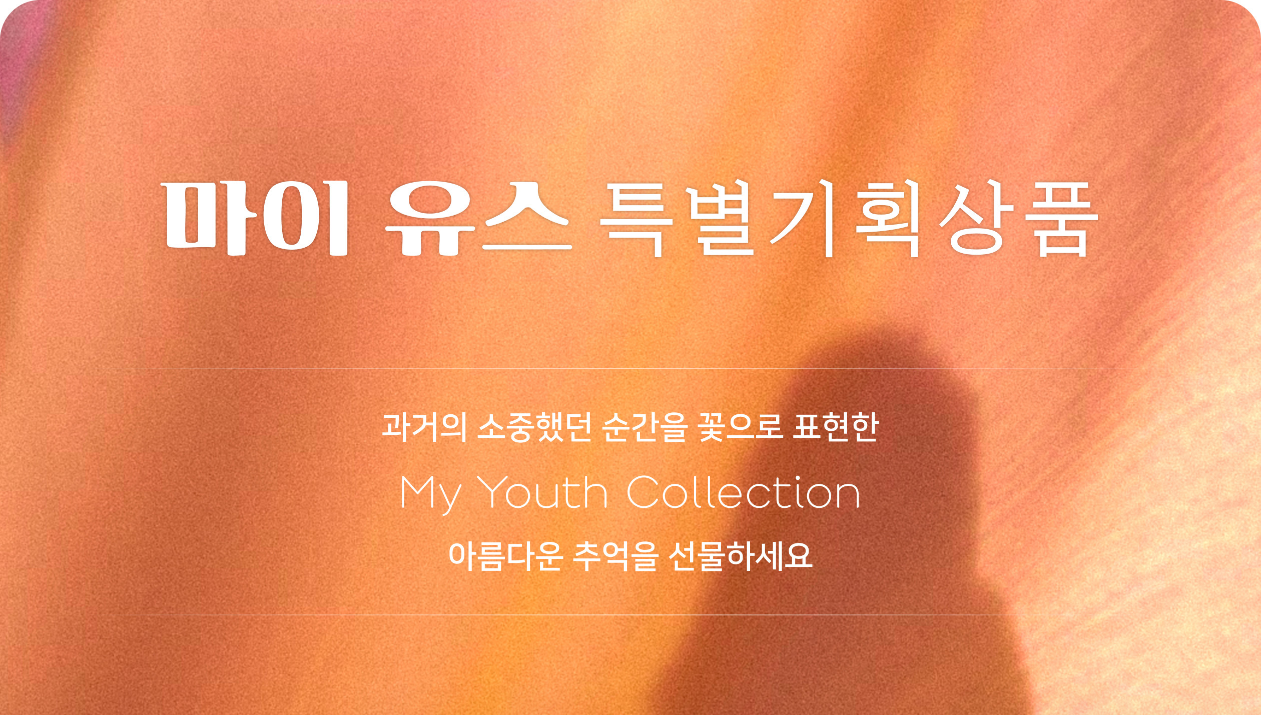 마이 유스 my youth