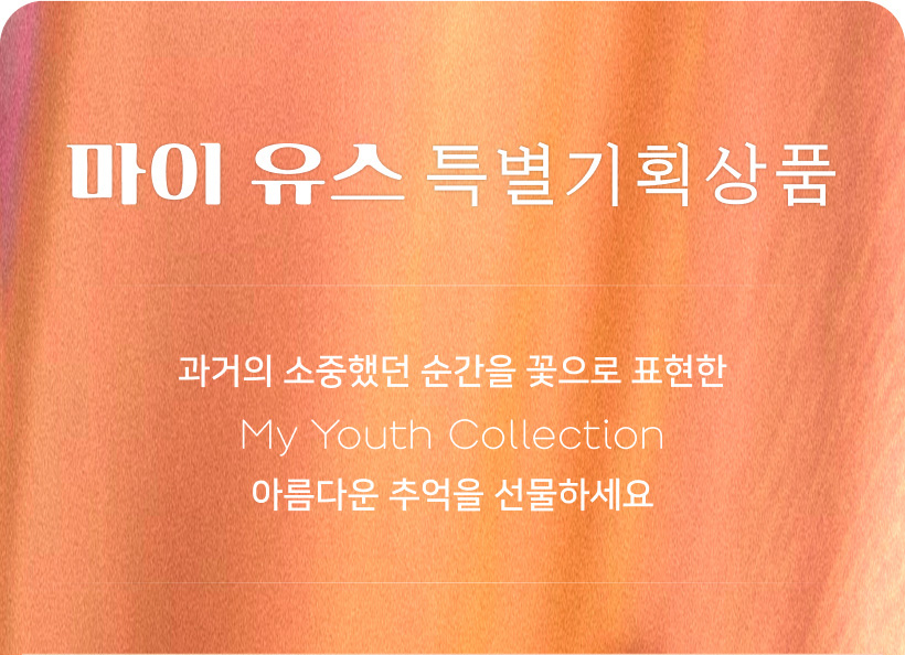 마이 유스 my youth