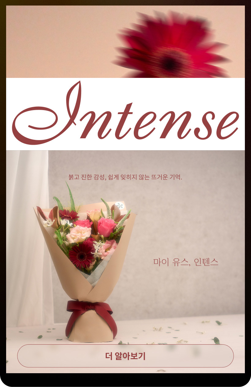 마이 유스 : 인텐스