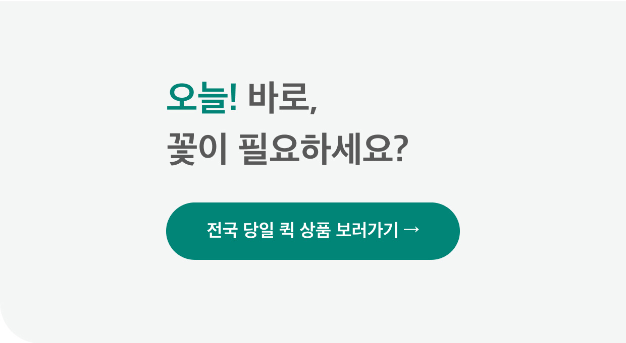 마이 유스 my youth