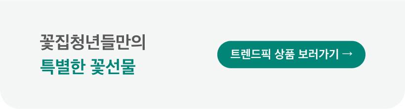 마이 유스 my youth